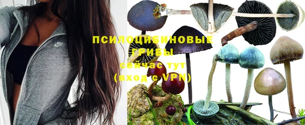 герыч Алзамай